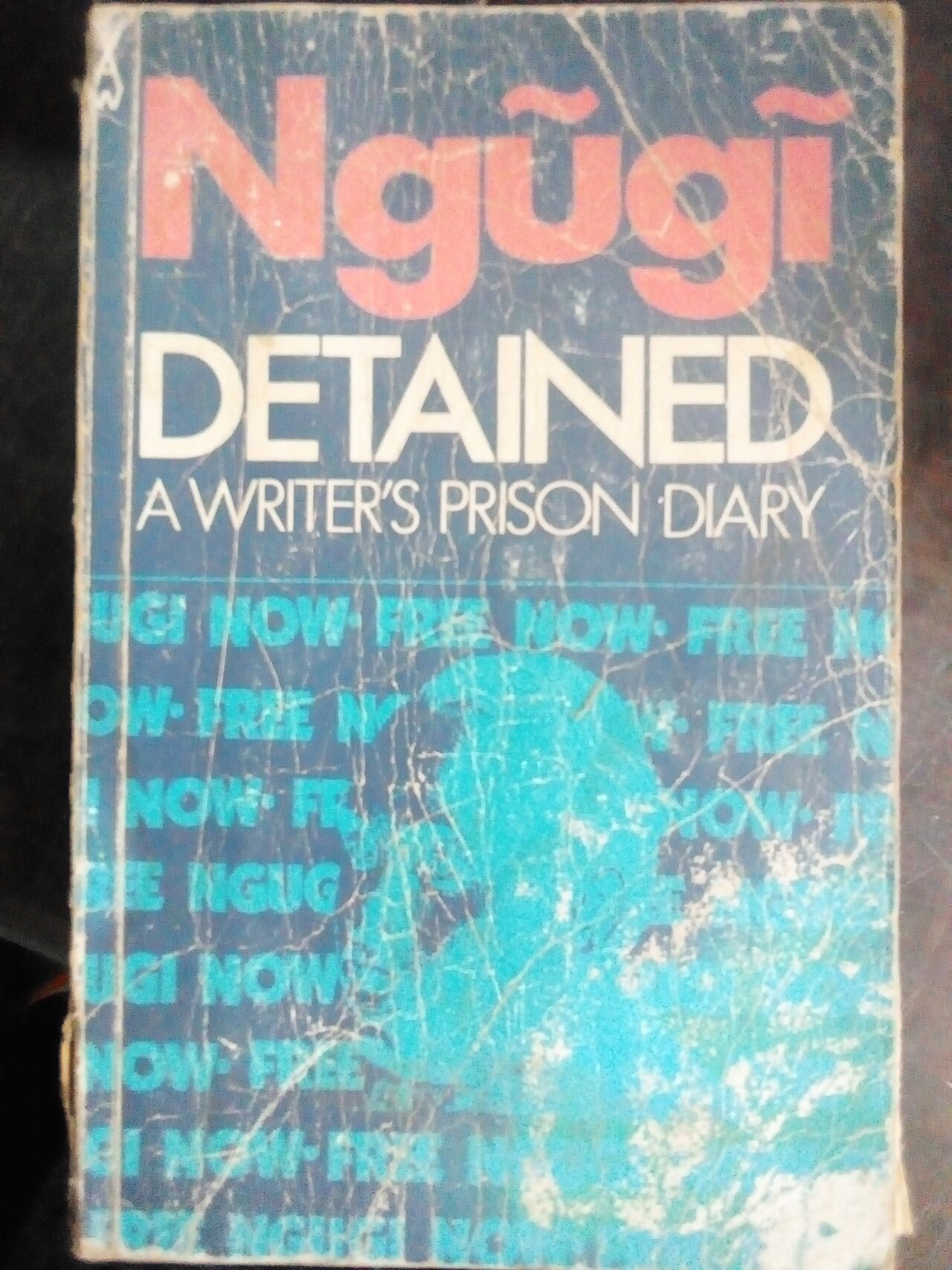 Ngũgĩ wa Thiong'o